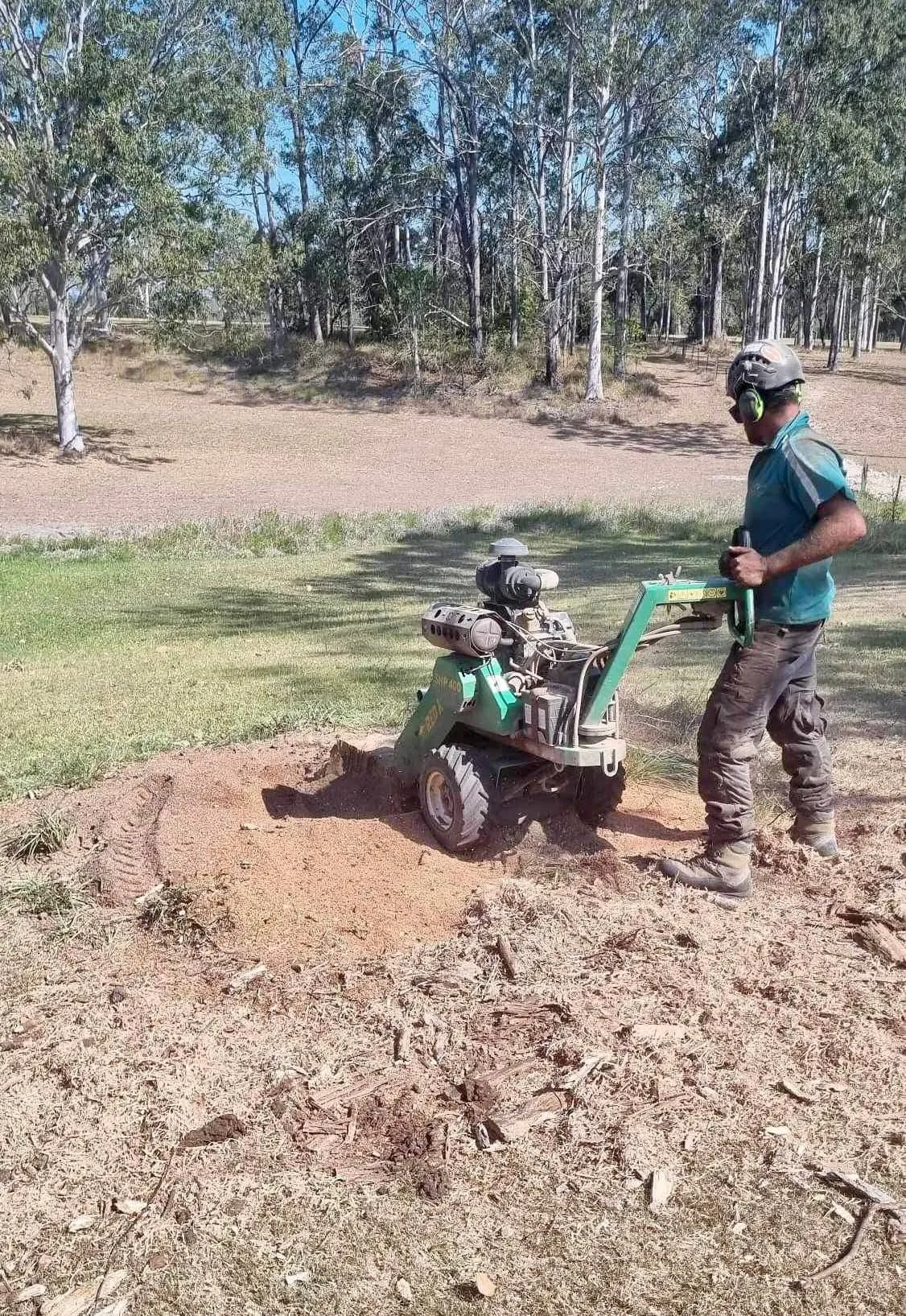 Tree and stump removal in Taree