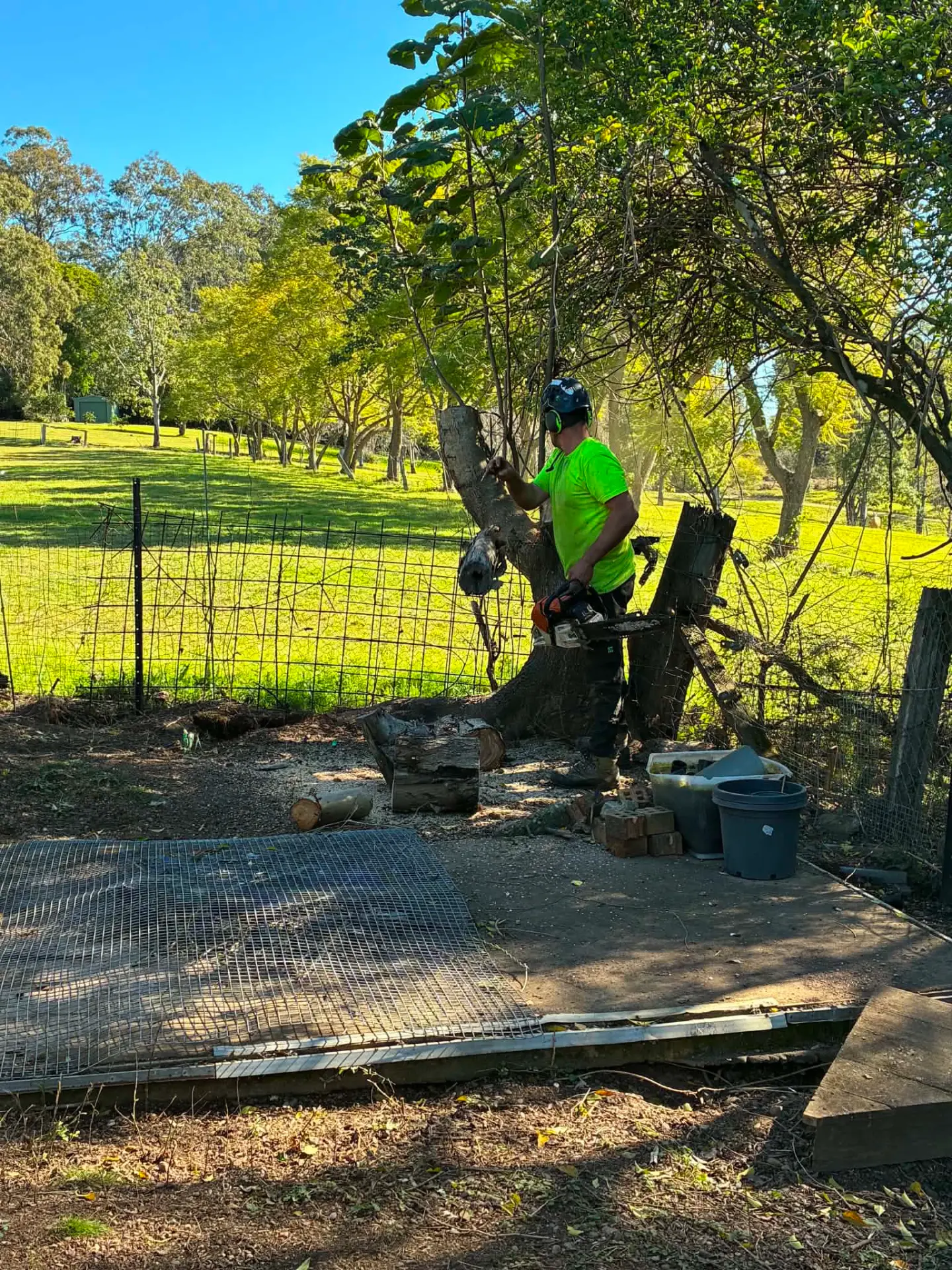 Tree and stump removal in Laurieton