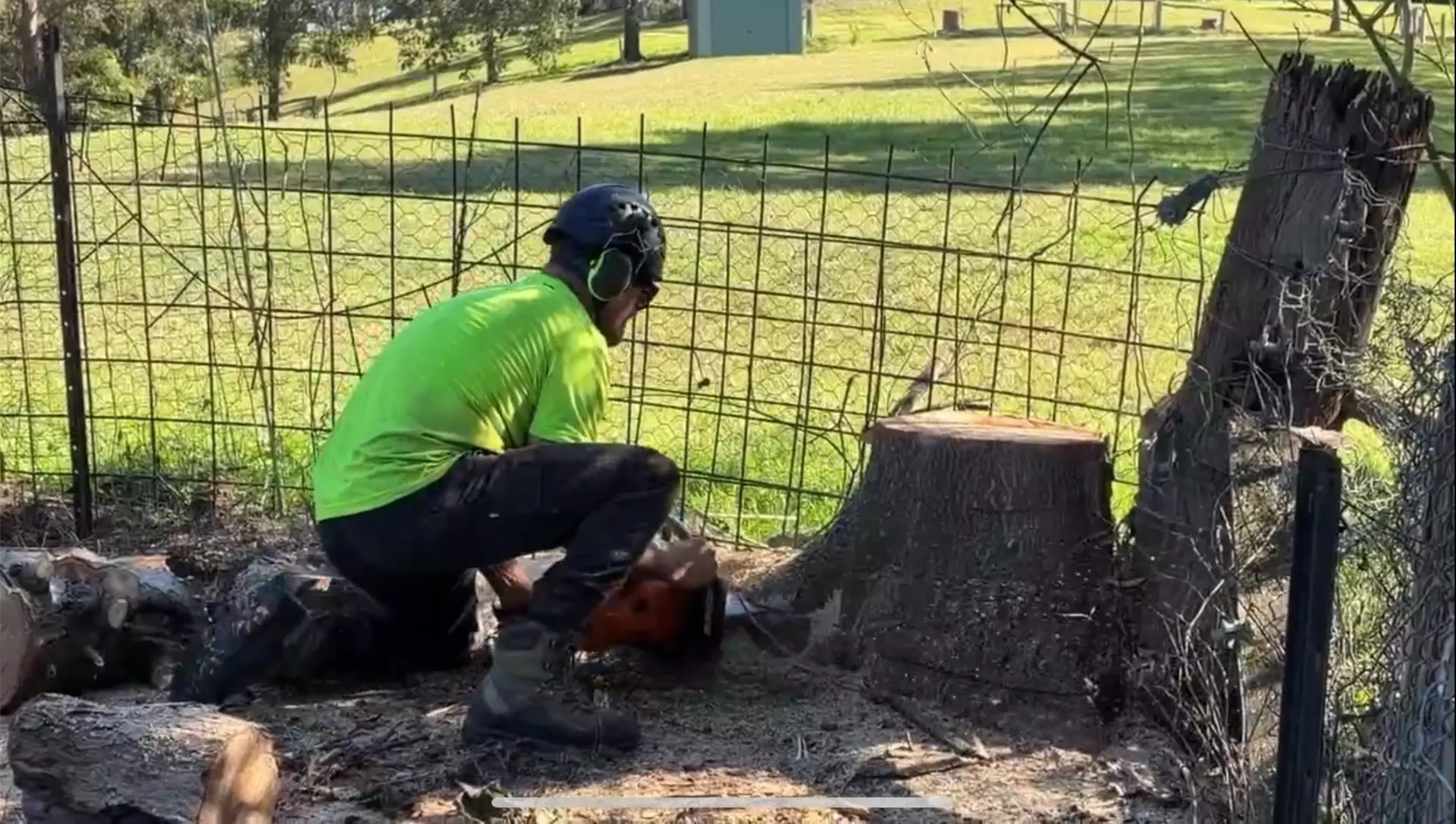 Manning Valley Tree Service team in the Manning Valley
