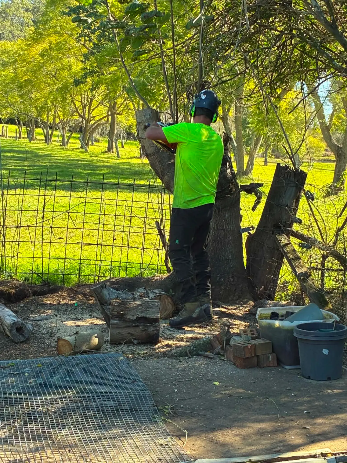 Tree and stump removal in Laurieton by Manning Valley Tree Service