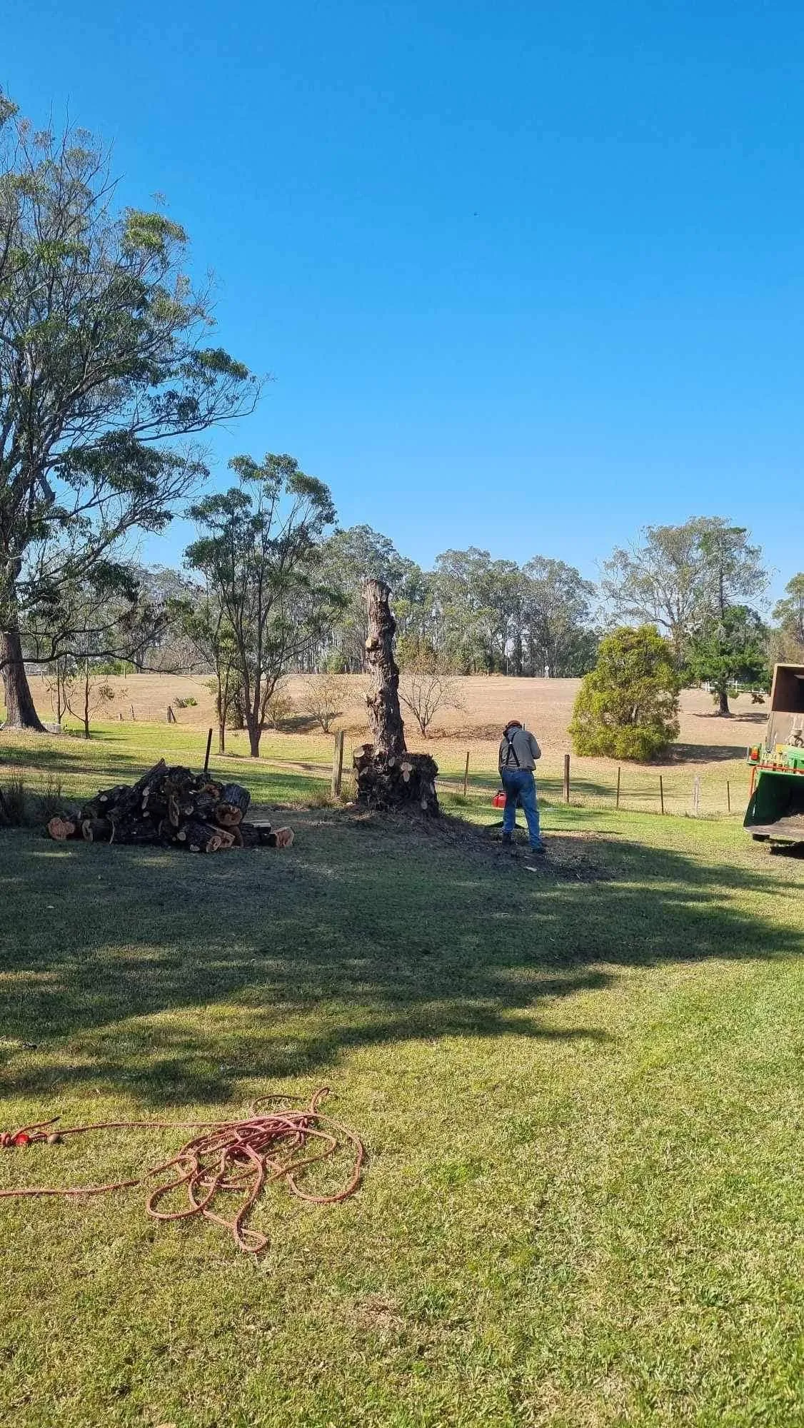 Land clearing in Old Bar